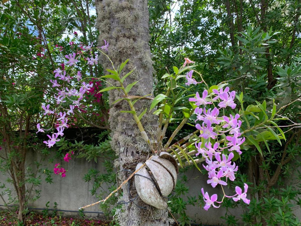 Stuart House Tangalle Exterior photo
